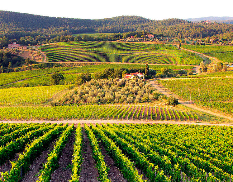 Frescobaldi, a essência da Toscana