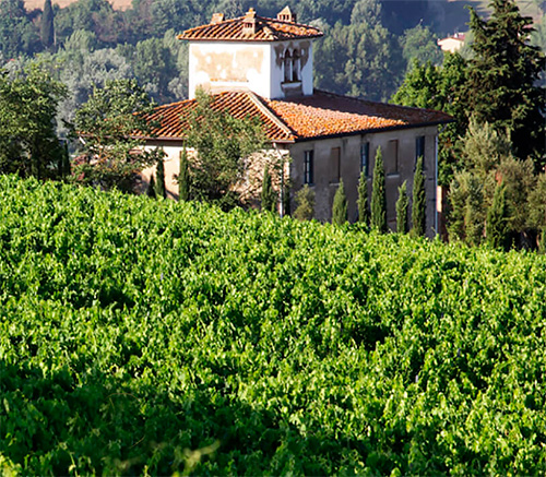 Tenuta Castiglioni